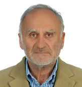 Dimitrios N. Kokkinos